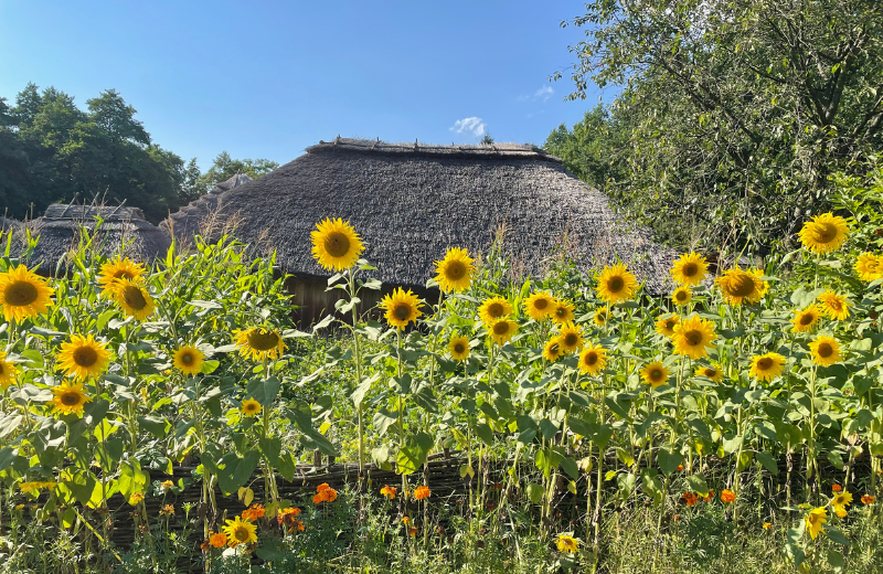 Travelogue A Summer in Ukraine U.S.Ukraine Foundation